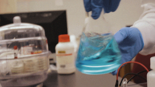 giphy (4).gif