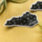 Thumbnail: Kentucky Native Botanicals Vinyl Sticker
