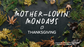 You can celebrate the season of plenty and only use what you need!