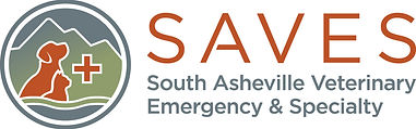 SAVES-logo-primary (1).jpg