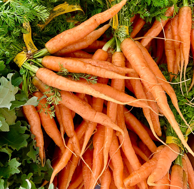 Carrots_WildEastFarm.jpg