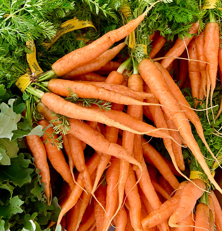 Carrots_WildEastFarm.jpg