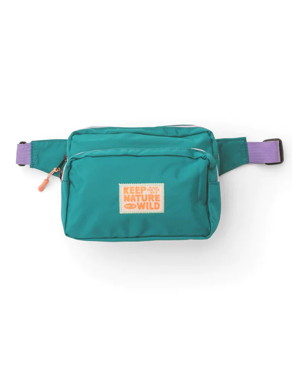 Everyday fanny pack sale