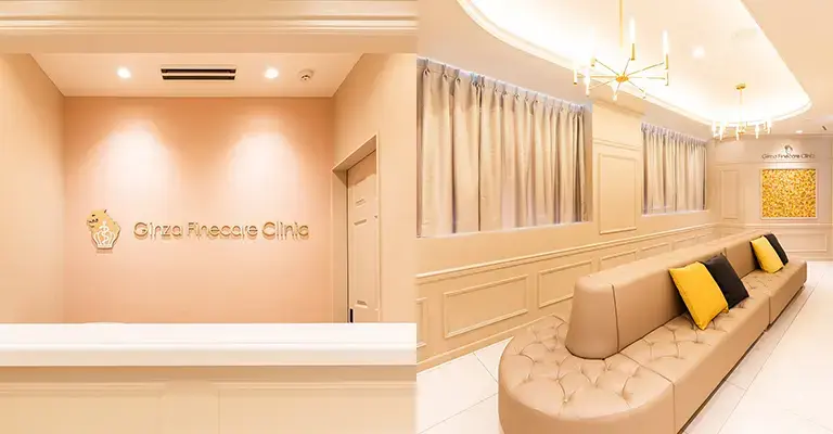 銀座ファインケアクリニック 銀座院