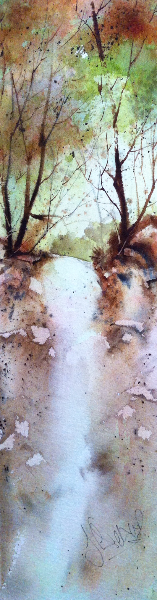 Woodland Dawn