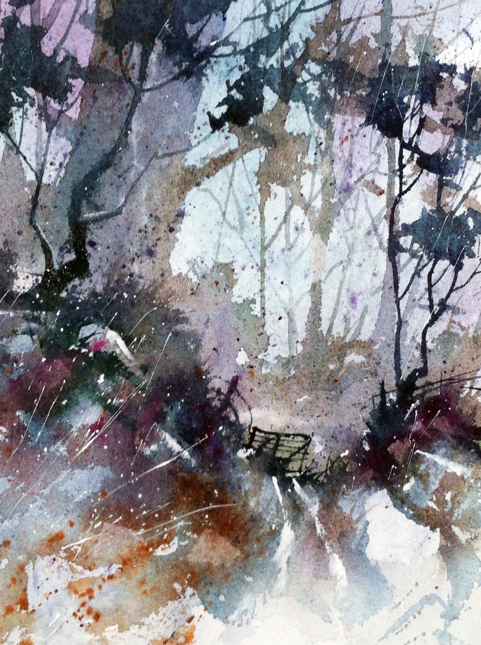 Woodland Silhouette