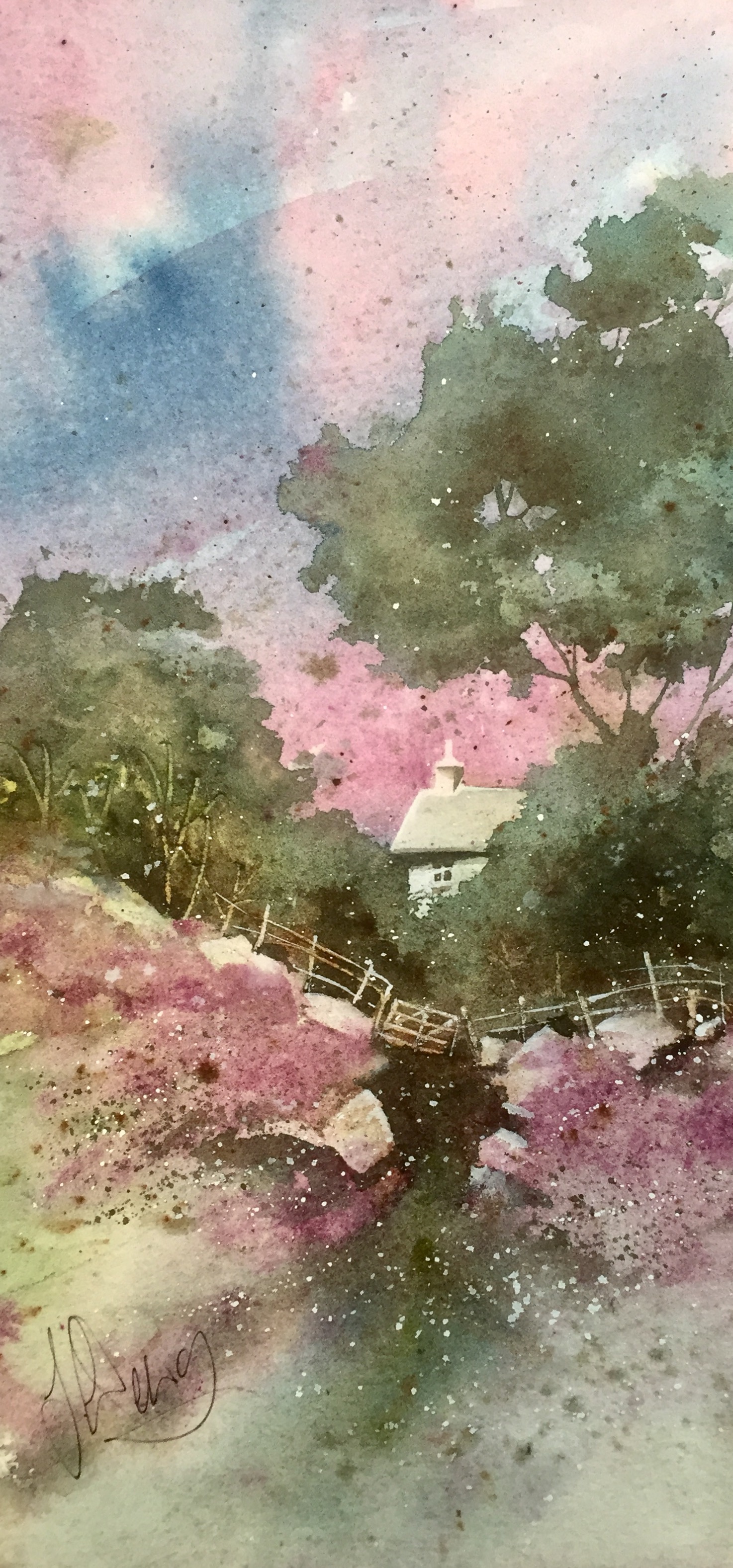 Summer Hideout