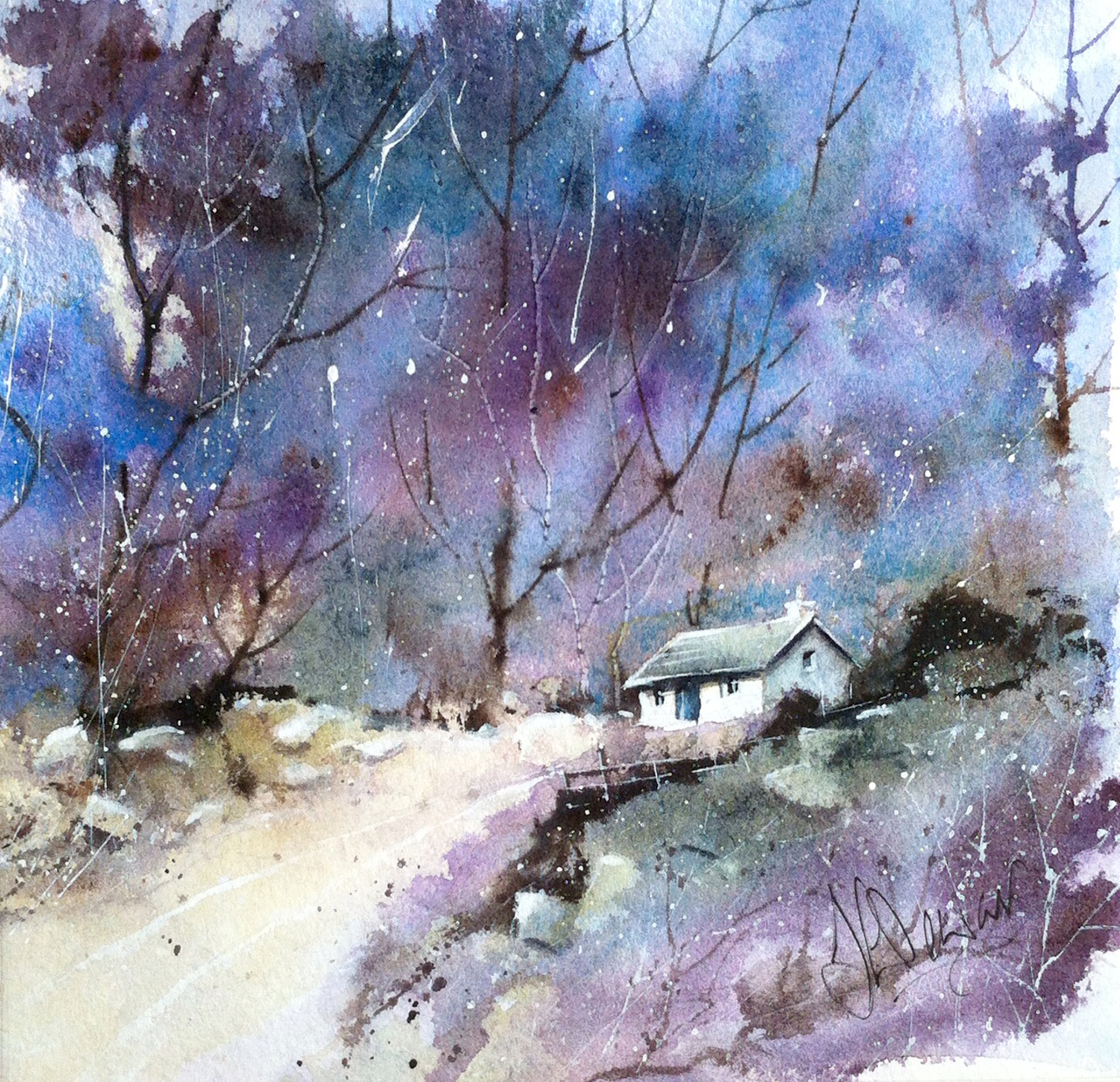 Winter's Beauty 2