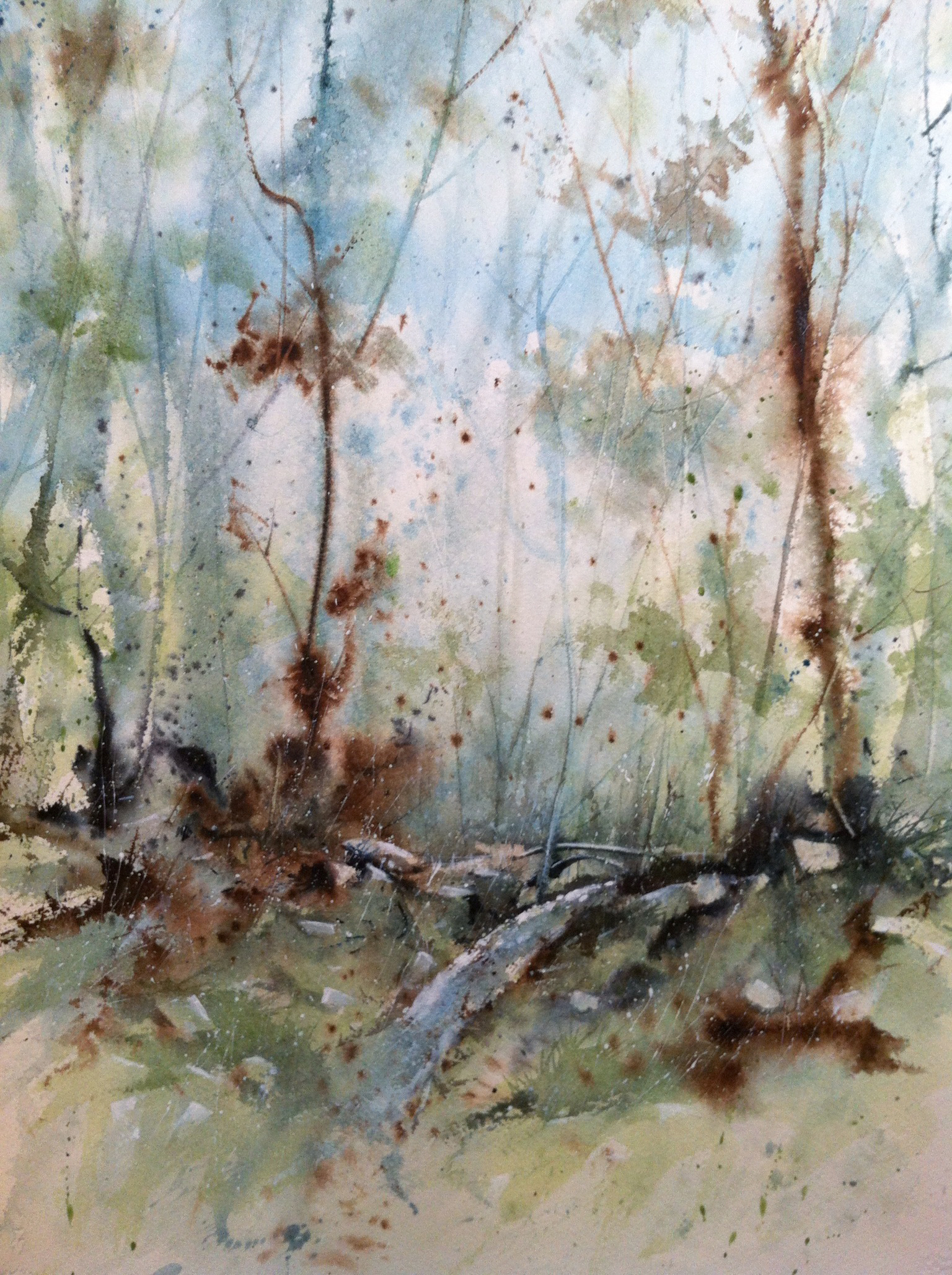 Woodland Bridge