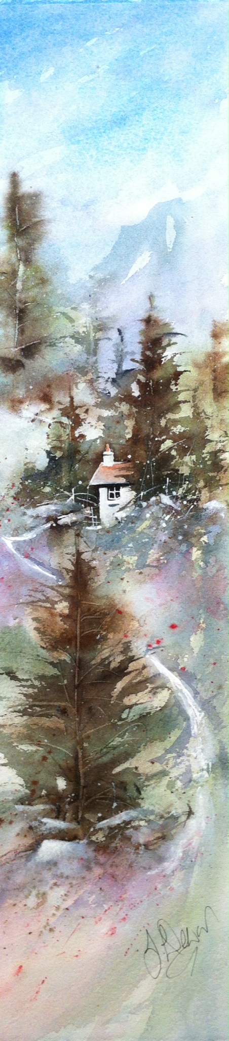 Off The Beaten Path