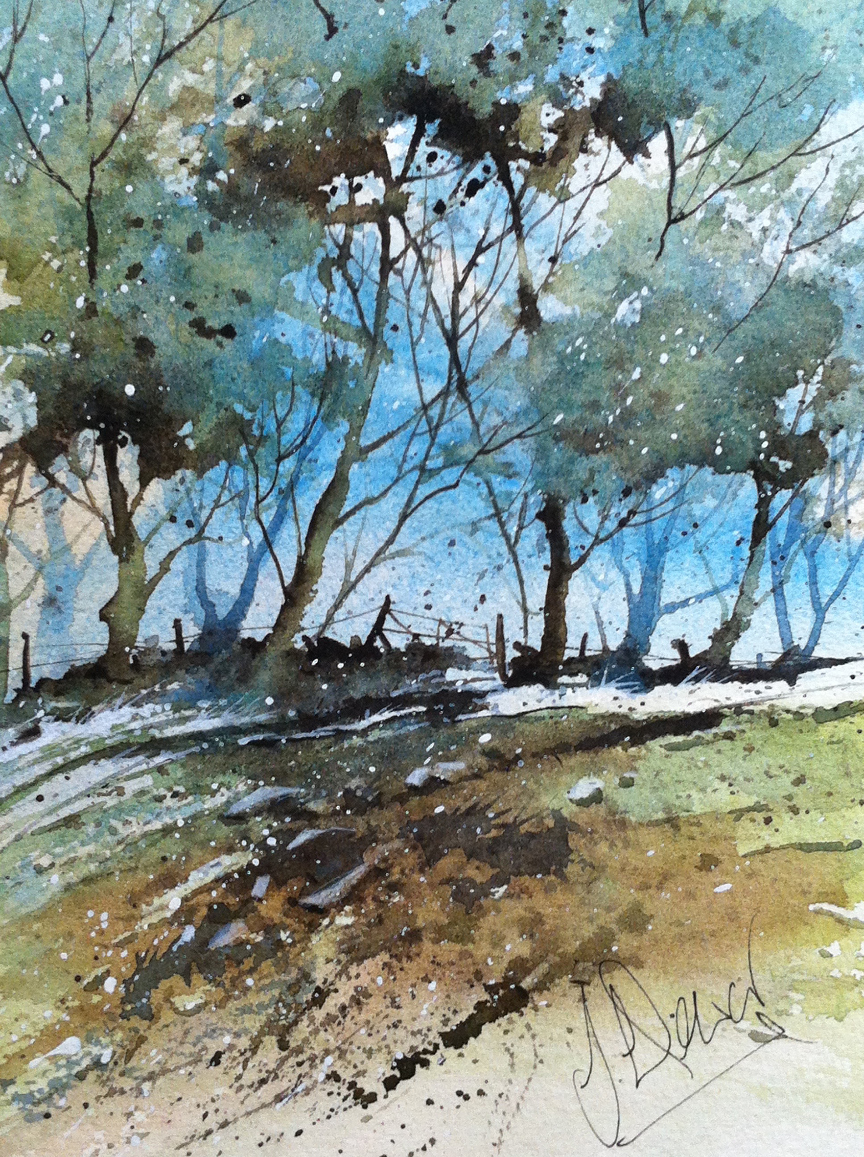 Angus Woods