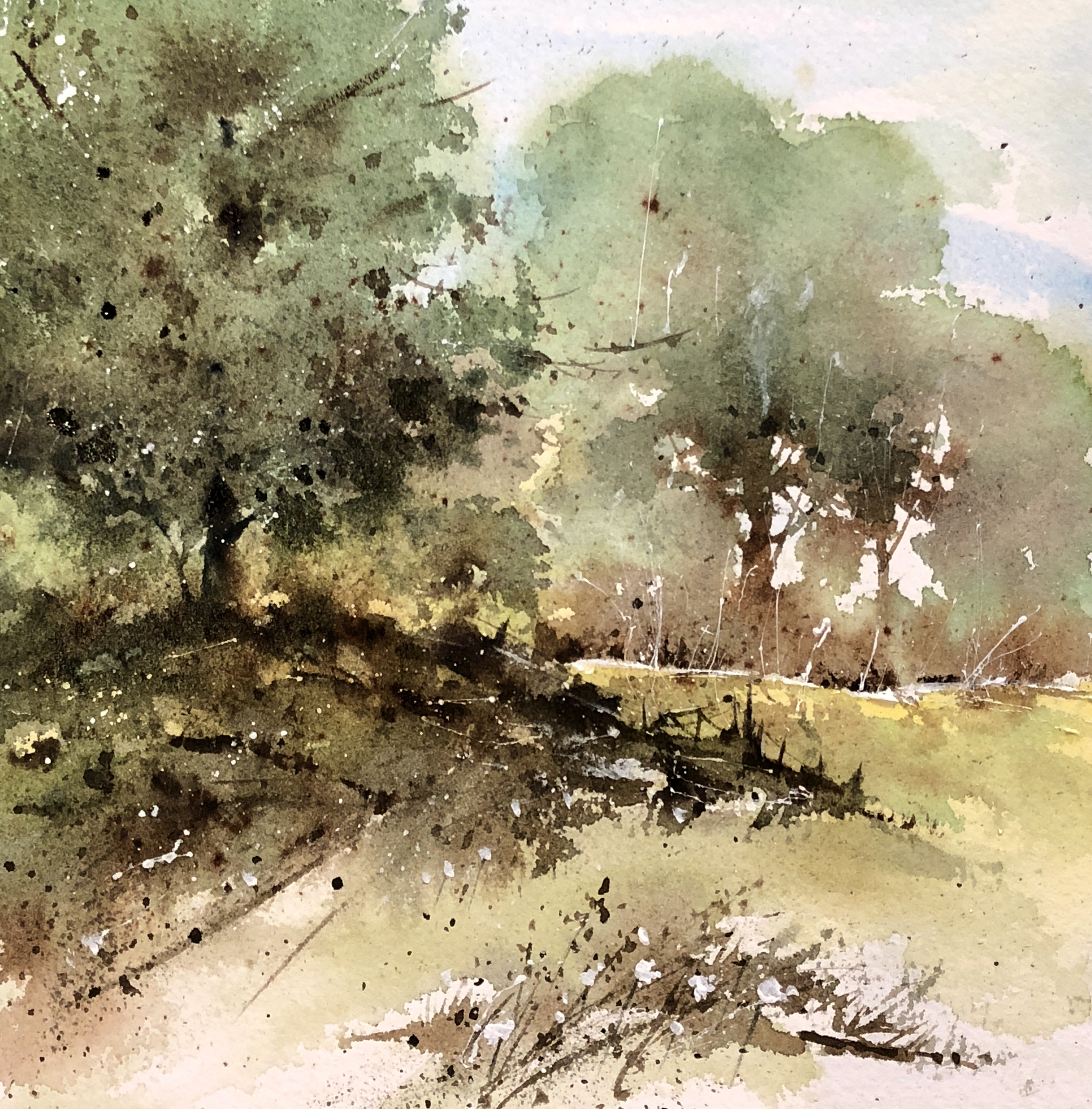 Summer Trees