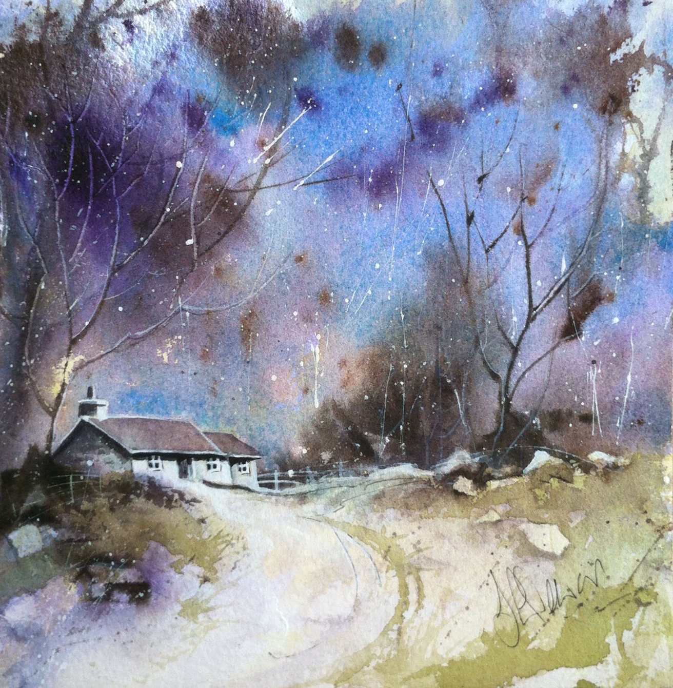 Winter's Beauty 1