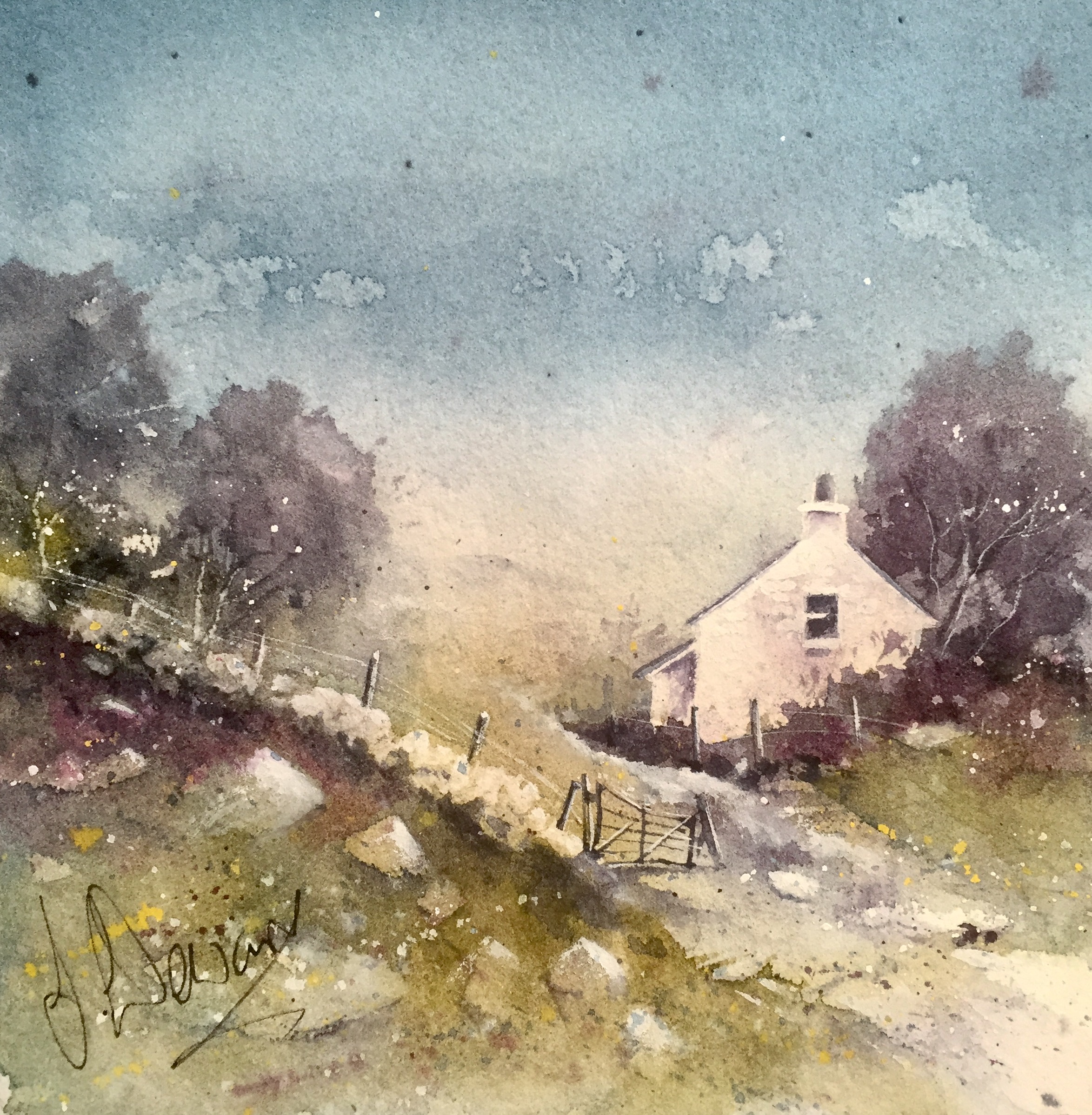 Summer Bothy 2