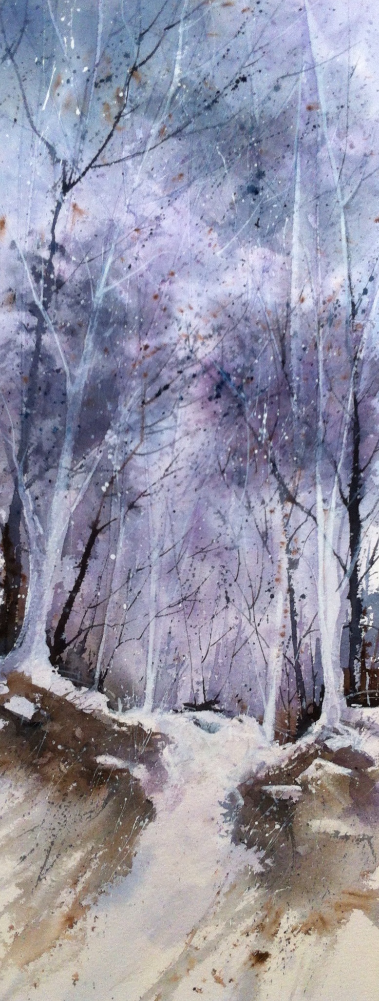 Remains Of Winter Snow