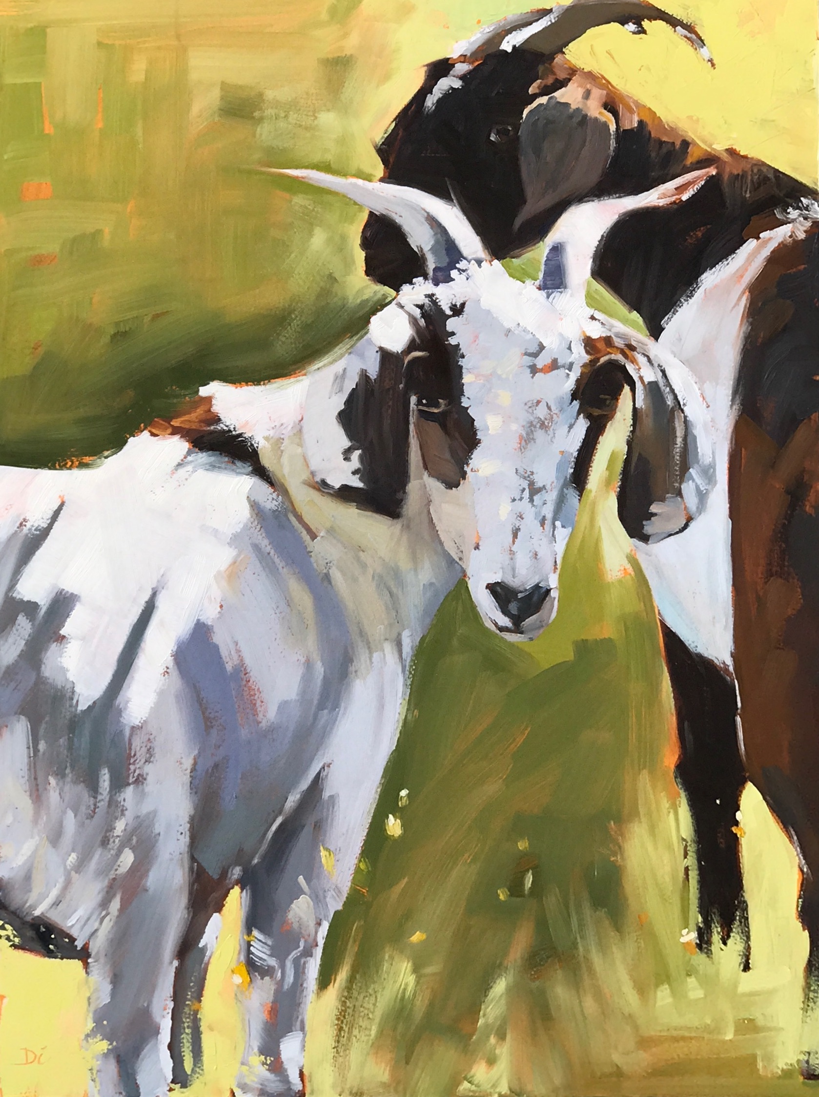 CATHY'S GOATS