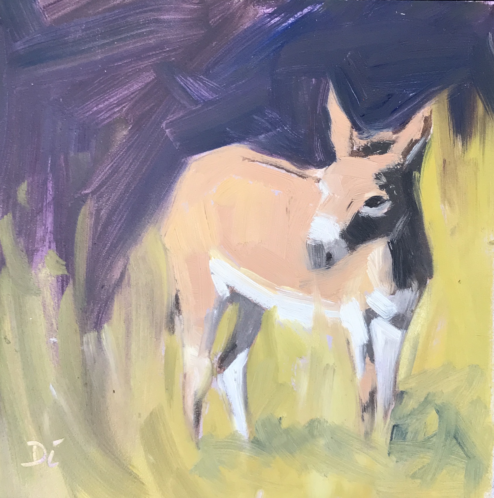 FLORA