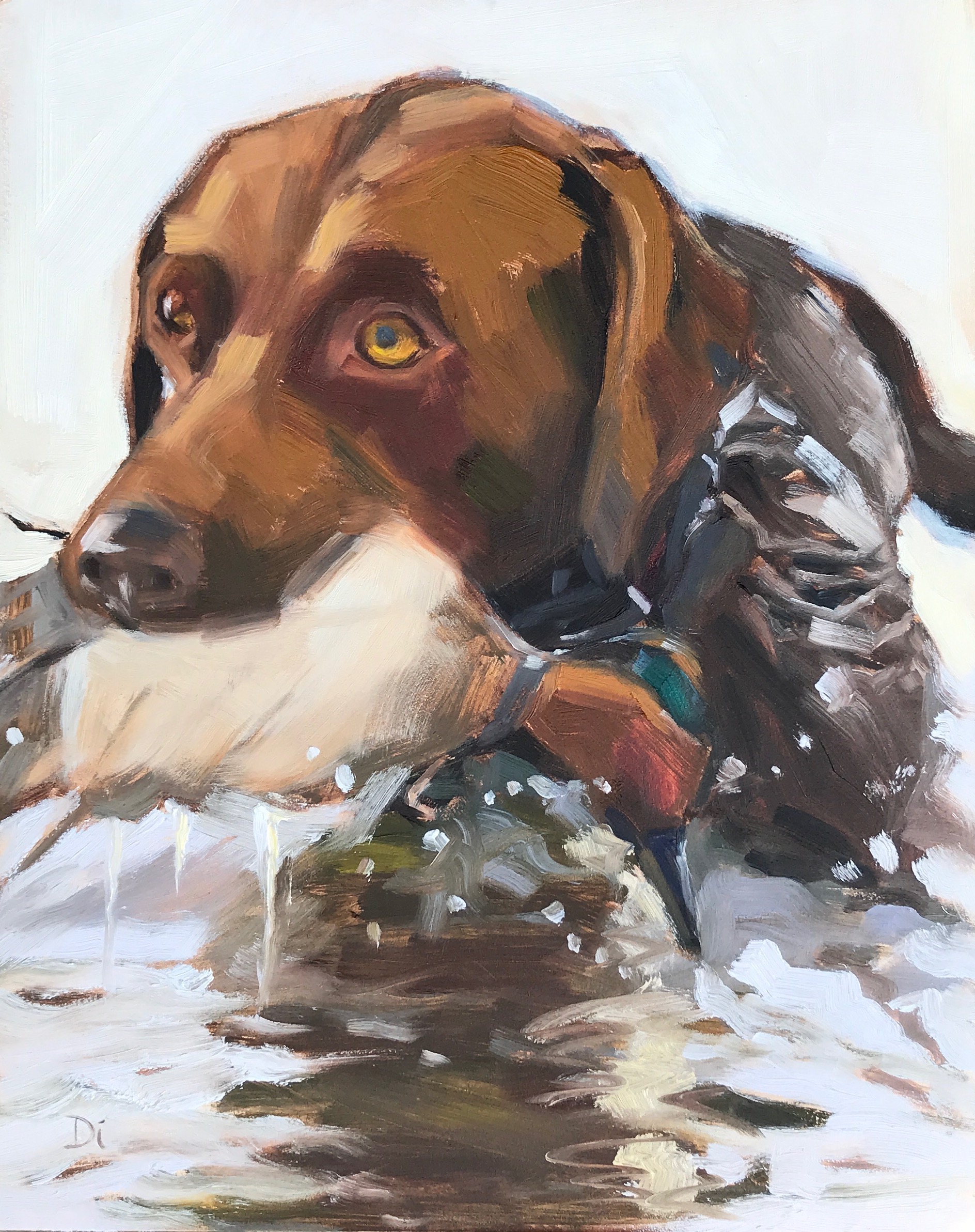 SADIE