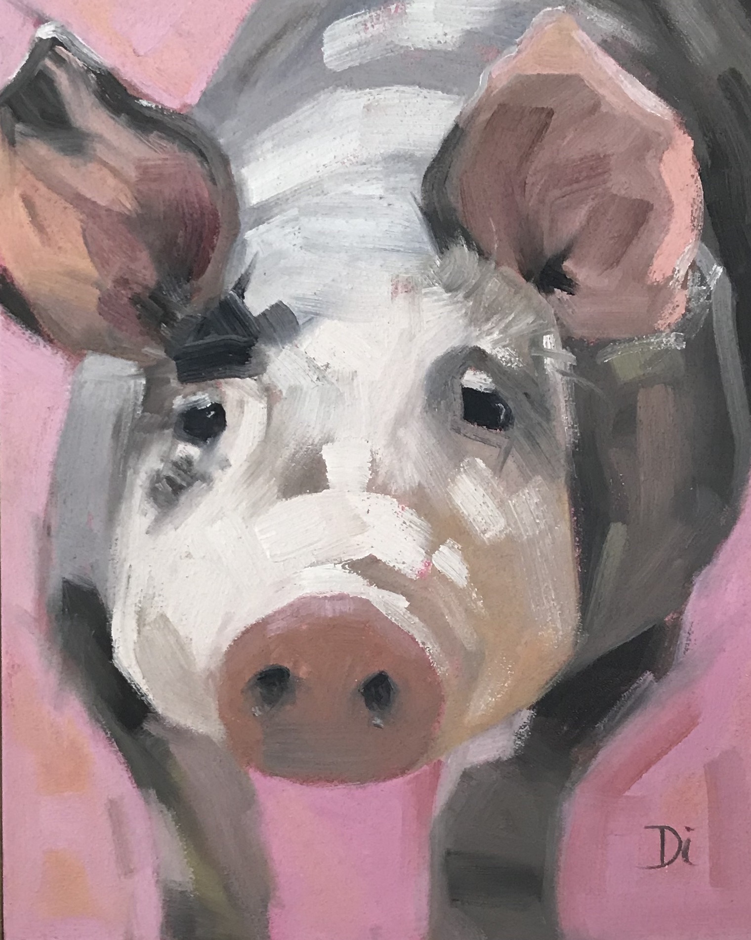 PETUNIA