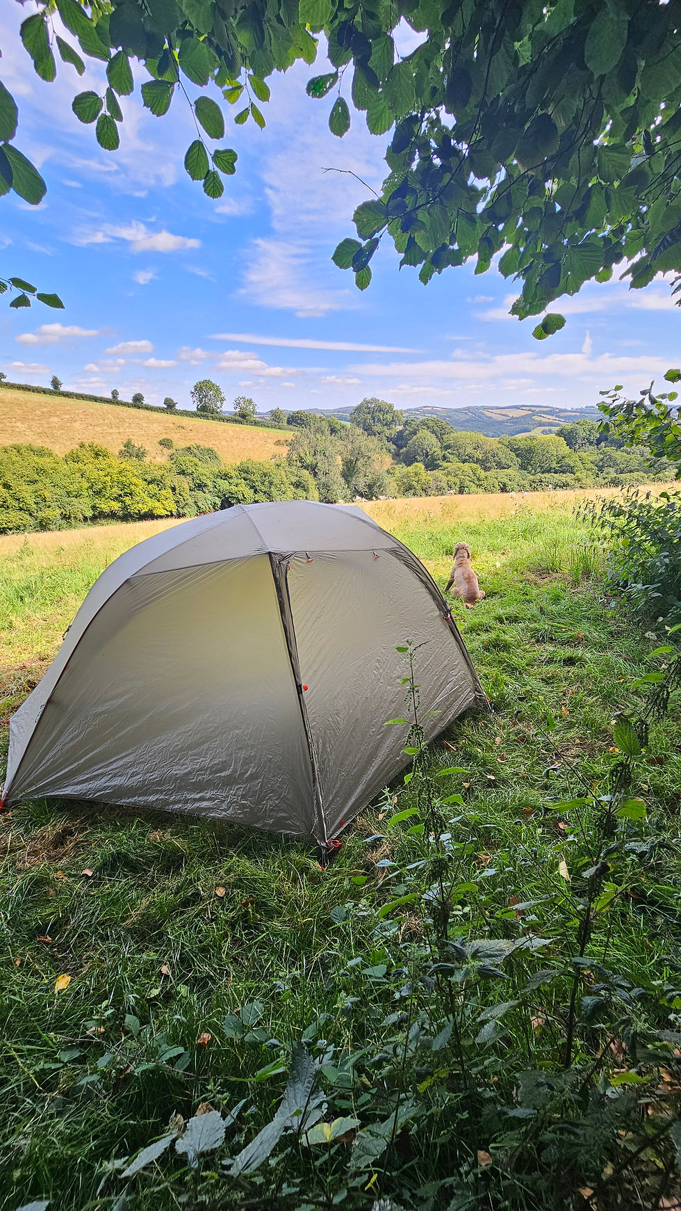 Hazelnut wild camp teign valley