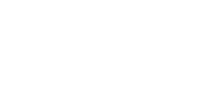 NS-icon.png