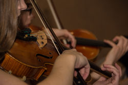 Processed Violins