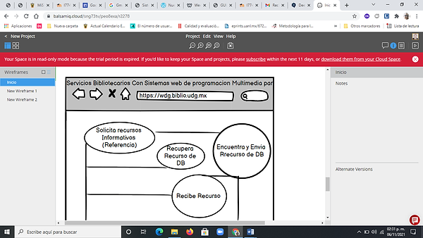 captura 4 sitio web.png
