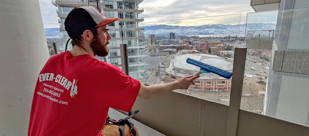 Ever-Clear Window Cleaning photo 3