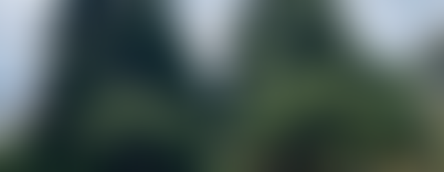 A lush botanical garden scene featuring a vibrant flower bed filled with red, purple, yellow, and white blooms set against a backdrop of towering evergreen trees and a cloudy sky. A red and white Canadian flag peeks out from behind the trees.