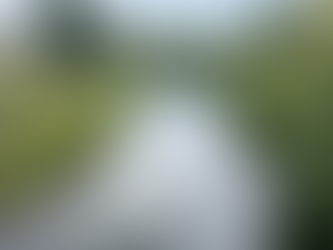 Calm river flowing through a lush, tree-lined corridor with dense green foliage on both banks and a cloudy sky reflected on the water’s surface.