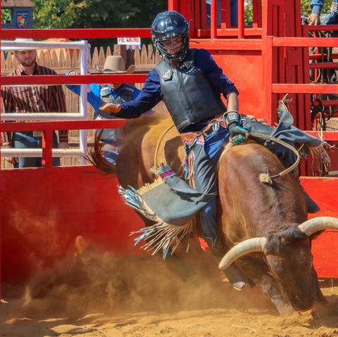 Rodeo competitor riding a bucking bull.