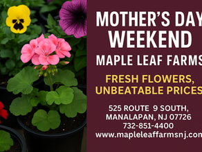 mothers day post