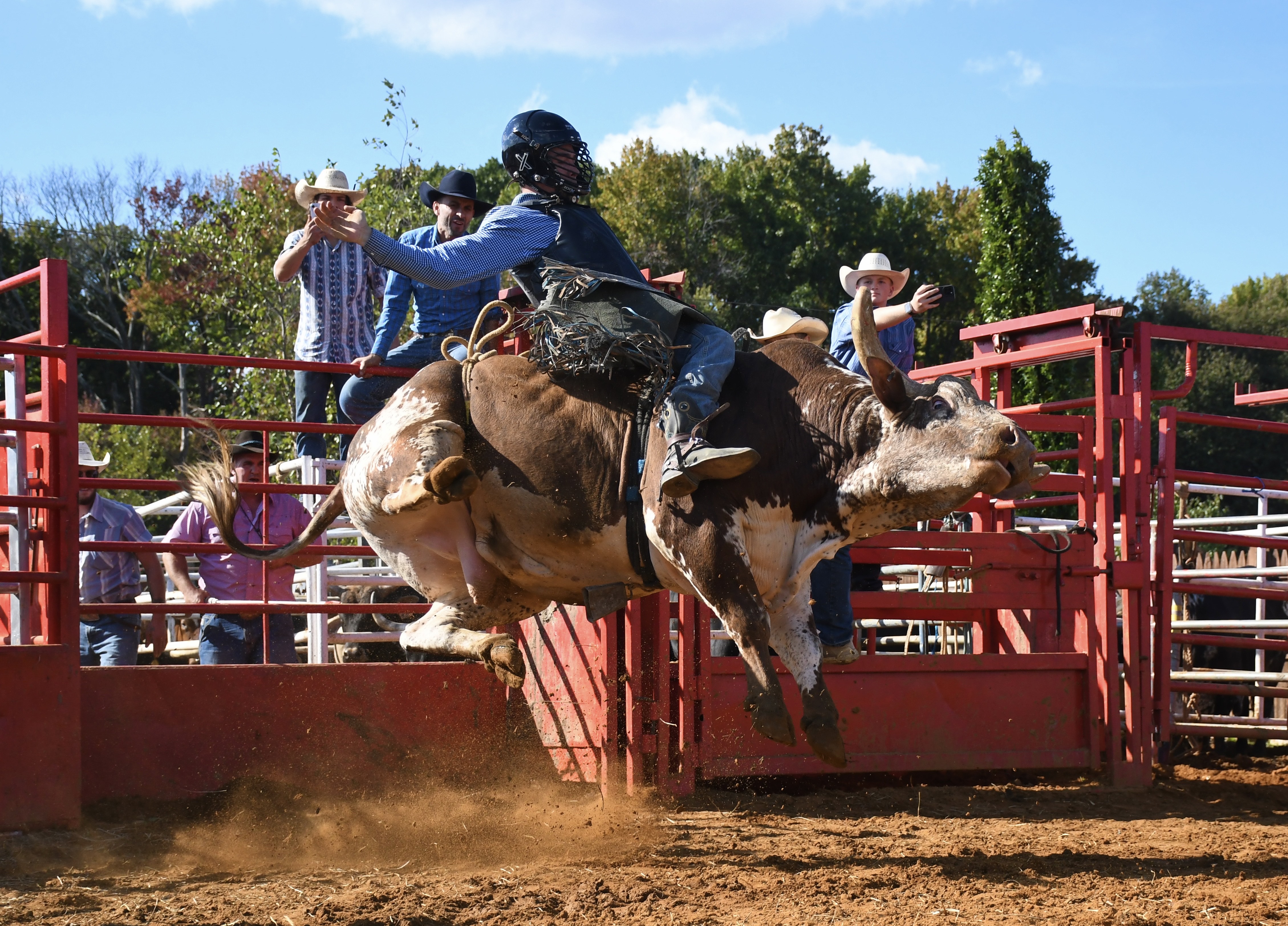 Live bull riding entertainment at Maple Leaf Farms Fall Fun Fest