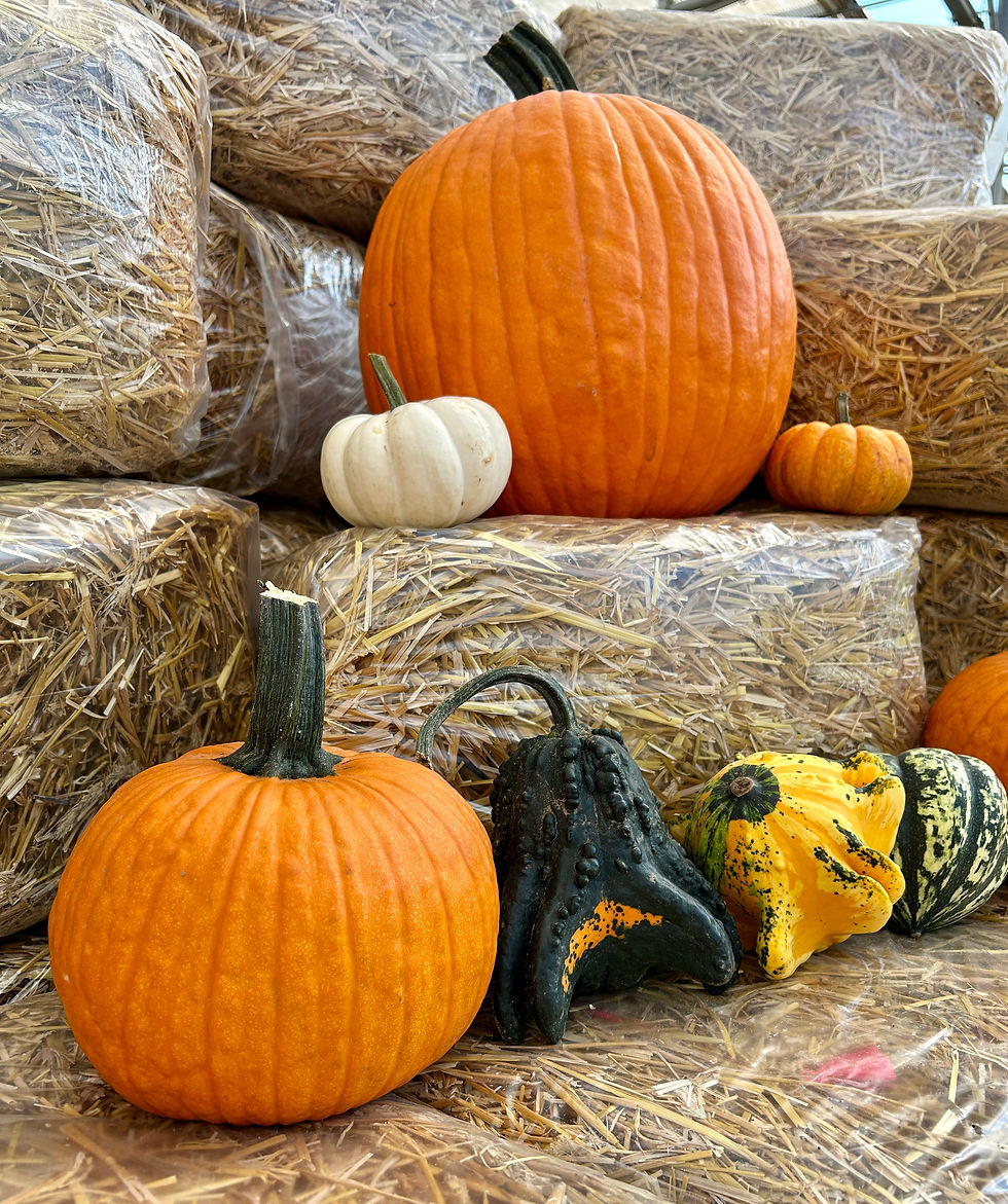 A decoration of fall gourds, pumpkins, straw, and more