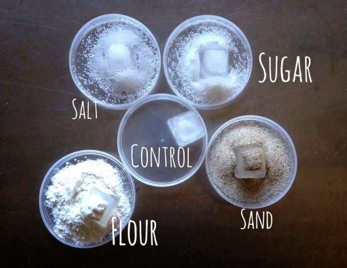 Plan & Learn in English Online