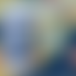 Invest in China (3): How to Establish Business Vehicle, Taking WFOE and Branch Office for Example