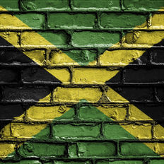 Attorney Jeremy Successfully Helps Jamaican Client Win Refund in  Contract Dispute with Jiangsu Supplier