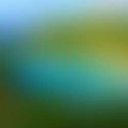 Attorney Jeremy Secures Settlement for Trinidadian Buyer in Equipment Dispute with Zhuhai Supplier