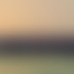 Should the Freight Forwarder be Liable for Damage to the Goods Caused by the Force Majeure?