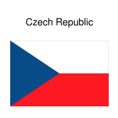 Larry Advised a Czech Company on the Procurement of Medical Products from a Chinese Supplier