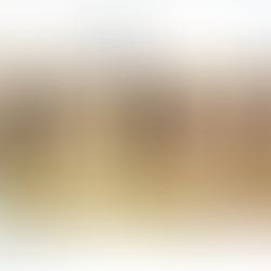 Invest in China (1): What is the Negative List for Foreign Investment?