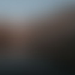 Attorneys Larry and Laney Assist Foshan Company in Winning Russia Arbitration, Rejecting Russian Company's Claims