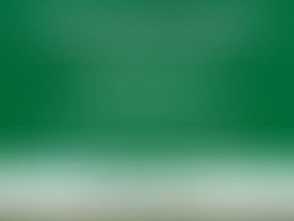 Online Webinar: Our Multi-Tier Aviary Systems