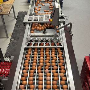 A New Prinzen Installation in the Scottish Highlands