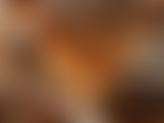 How long will your nest system last?