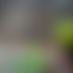 2 Male engineers in high vis working on a poultry farm