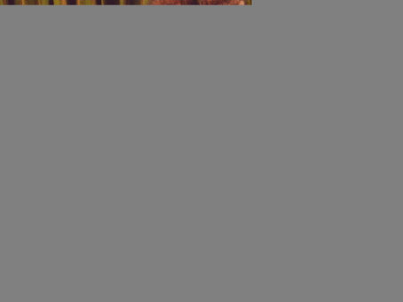 Beyonce 4 Album Download Zip Utatman
