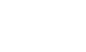 logo sbiu tout blanc.png