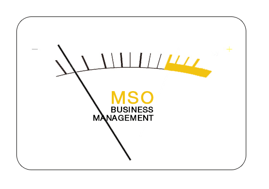MSO_vuLOGOanim3.gif