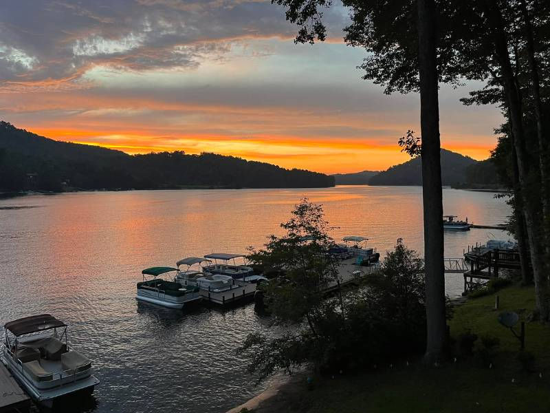 Lake Glenvill Scenic Water Cruises.jpg